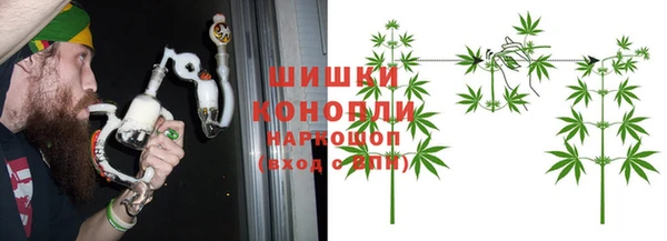 эйфоретик Бородино