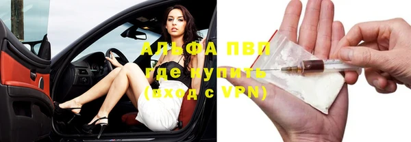 эйфоретик Бородино