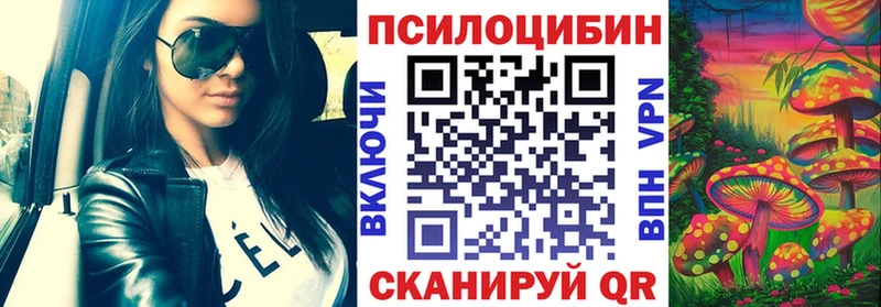Купить  Волгодонск  Галлюциногенные грибы Psilocybe 