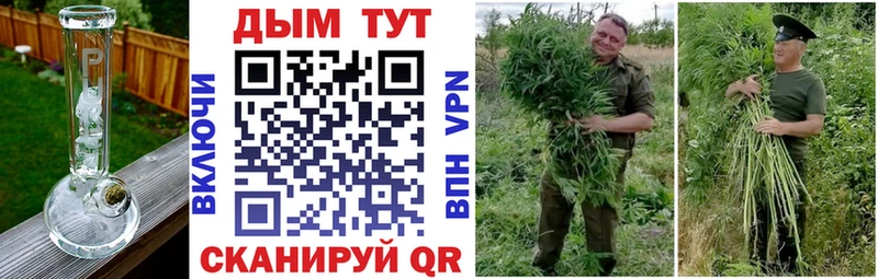 Конопля конопля  Купить закладки  Волгодонск 